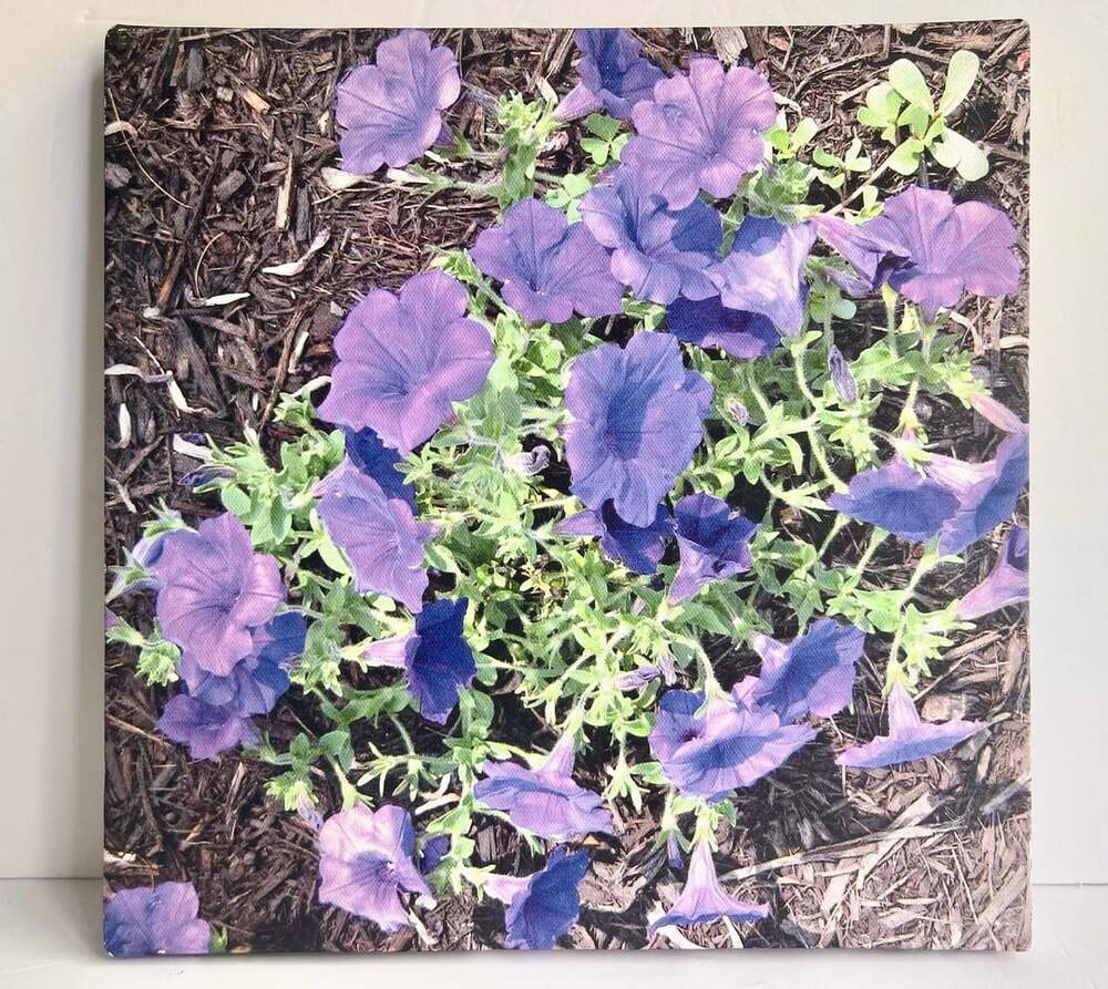 Custom Purple Petunia Flower Photo Canvas Wall Art Print